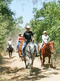 Riders on the trail at Saddle Up LA